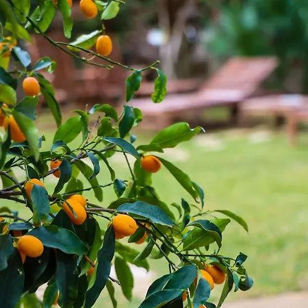Guest house Casita Garden&spa